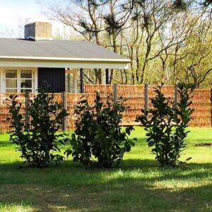 Sommerhus Hou/Fyn
