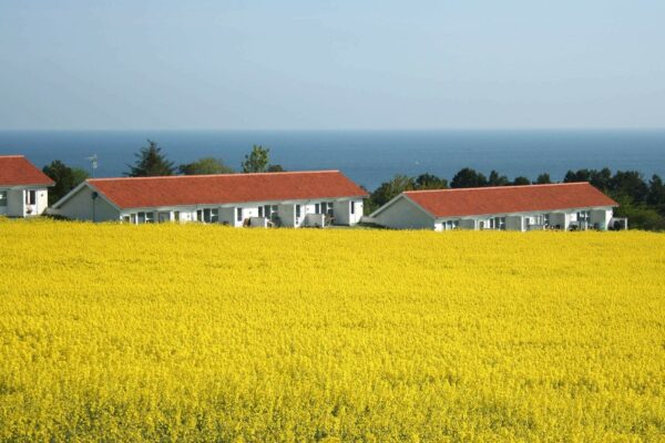 Sommerhus Sandkås