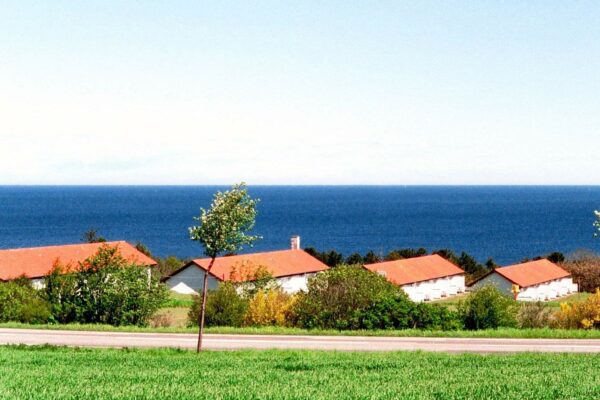 Sommerhus Sandkås